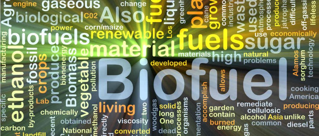 biofuels-1024×436